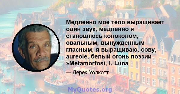 Медленно мое тело выращивает один звук, медленно я становлюсь колоколом, овальным, вынужденным гласным, я выращиваю, сову, aureole, белый огонь поэзии »Metamorfosi, I. Luna