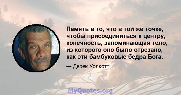 Память в то, что в той же точке, чтобы присоединиться к центру, конечность, запоминающая тело, из которого оно было отрезано, как эти бамбуковые бедра Бога.