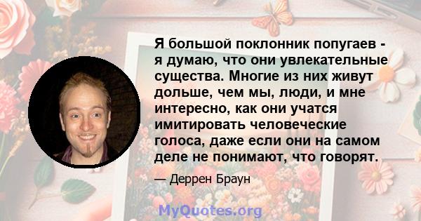 Я большой поклонник попугаев - я думаю, что они увлекательные существа. Многие из них живут дольше, чем мы, люди, и мне интересно, как они учатся имитировать человеческие голоса, даже если они на самом деле не понимают, 