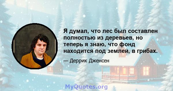 Я думал, что лес был составлен полностью из деревьев, но теперь я знаю, что фонд находится под землей, в грибах.