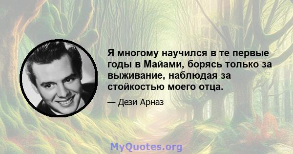 Я многому научился в те первые годы в Майами, борясь только за выживание, наблюдая за стойкостью моего отца.