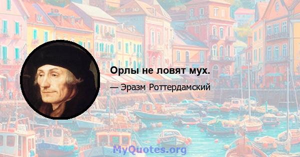 Орлы не ловят мух.