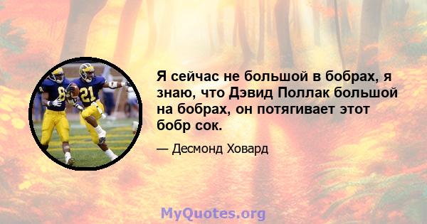 Я сейчас не большой в бобрах, я знаю, что Дэвид Поллак большой на бобрах, он потягивает этот бобр сок.