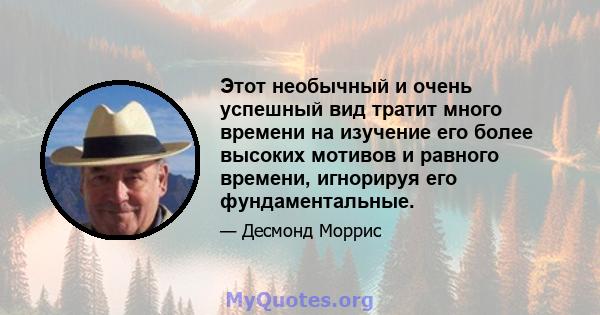 Этот необычный и очень успешный вид тратит много времени на изучение его более высоких мотивов и равного времени, игнорируя его фундаментальные.