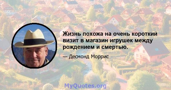 Жизнь похожа на очень короткий визит в магазин игрушек между рождением и смертью.