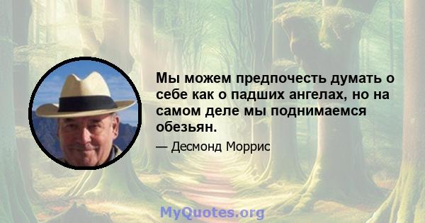 Мы можем предпочесть думать о себе как о падших ангелах, но на самом деле мы поднимаемся обезьян.