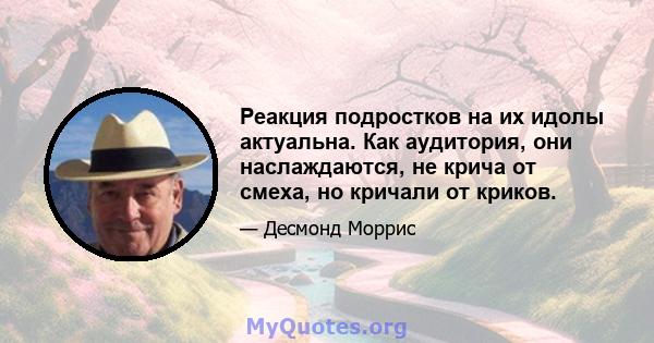 Реакция подростков на их идолы актуальна. Как аудитория, они наслаждаются, не крича от смеха, но кричали от криков.