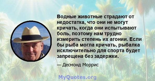 Водные животные страдают от недостатка, что они не могут кричать, когда они испытывают боль, поэтому нам трудно измерить степень их агонии. Если бы рыба могла кричать, рыбалка исключительно для спорта будет запрещена