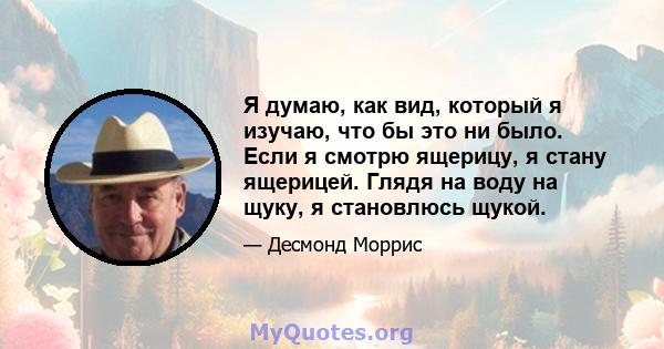 Я думаю, как вид, который я изучаю, что бы это ни было. Если я смотрю ящерицу, я стану ящерицей. Глядя на воду на щуку, я становлюсь щукой.