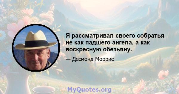 Я рассматривал своего собратья не как падшего ангела, а как воскресную обезьяну.