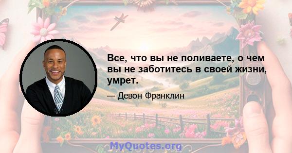 Все, что вы не поливаете, о чем вы не заботитесь в своей жизни, умрет.