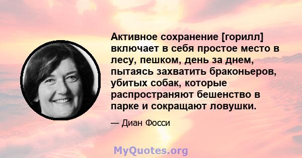 Активное сохранение [горилл] включает в себя простое место в лесу, пешком, день за днем, пытаясь захватить браконьеров, убитых собак, которые распространяют бешенство в парке и сокращают ловушки.