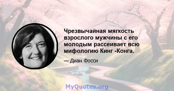 Чрезвычайная мягкость взрослого мужчины с его молодым рассеивает всю мифологию Кинг -Конга.