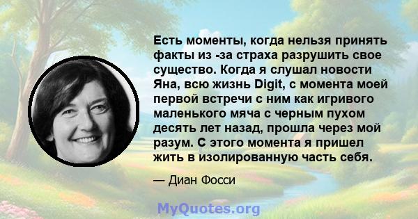 Есть моменты, когда нельзя принять факты из -за страха разрушить свое существо. Когда я слушал новости Яна, всю жизнь Digit, с момента моей первой встречи с ним как игривого маленького мяча с черным пухом десять лет