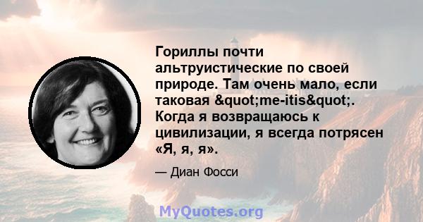 Гориллы почти альтруистические по своей природе. Там очень мало, если таковая "me-itis". Когда я возвращаюсь к цивилизации, я всегда потрясен «Я, я, я».