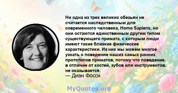 Ни одна из трех великих обезьян не считается наследственным для современного человека, Homo Sapiens, но они остаются единственным другим типом существующего примата, с которым люди имеют такие близкие физические