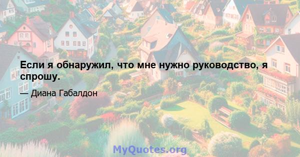 Если я обнаружил, что мне нужно руководство, я спрошу.