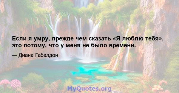 Если я умру, прежде чем сказать «Я люблю тебя», это потому, что у меня не было времени.