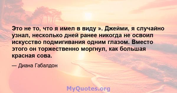 Это не то, что я имел в виду ». Джейми, я случайно узнал, несколько дней ранее никогда не освоил искусство подмигивания одним глазом. Вместо этого он торжественно моргнул, как большая красная сова.