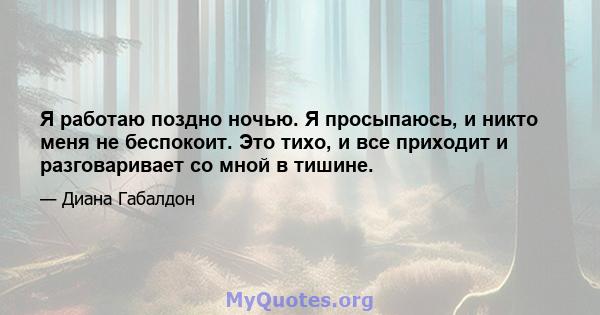 Я работаю поздно ночью. Я просыпаюсь, и никто меня не беспокоит. Это тихо, и все приходит и разговаривает со мной в тишине.