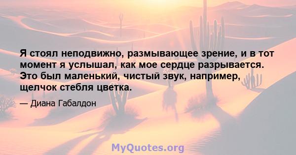 Я стоял неподвижно, размывающее зрение, и в тот момент я услышал, как мое сердце разрывается. Это был маленький, чистый звук, например, щелчок стебля цветка.