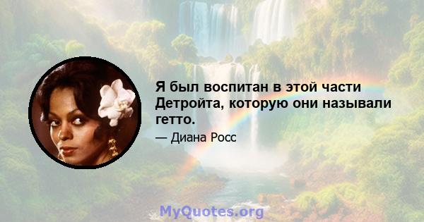 Я был воспитан в этой части Детройта, которую они называли гетто.