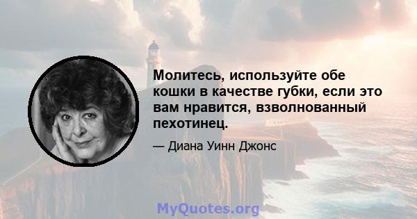 Молитесь, используйте обе кошки в качестве губки, если это вам нравится, взволнованный пехотинец.