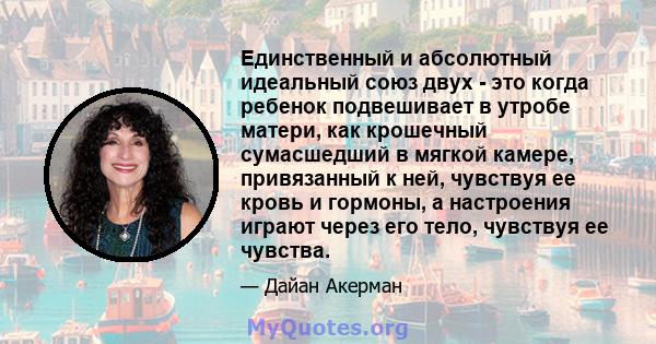 Единственный и абсолютный идеальный союз двух - это когда ребенок подвешивает в утробе матери, как крошечный сумасшедший в мягкой камере, привязанный к ней, чувствуя ее кровь и гормоны, а настроения играют через его