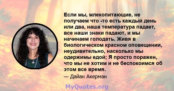 Если мы, млекопитающие, не получаем что -то есть каждый день или два, наша температура падает, все наши знаки падают, и мы начинаем голодать. Живя в биологическом красном оповещении, неудивительно, насколько мы одержимы 