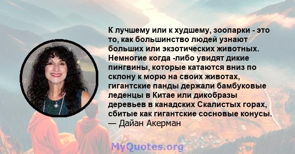 К лучшему или к худшему, зоопарки - это то, как большинство людей узнают больших или экзотических животных. Немногие когда -либо увидят дикие пингвины, которые катаются вниз по склону к морю на своих животах, гигантские 