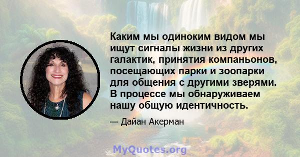 Каким мы одиноким видом мы ищут сигналы жизни из других галактик, принятия компаньонов, посещающих парки и зоопарки для общения с другими зверями. В процессе мы обнаруживаем нашу общую идентичность.