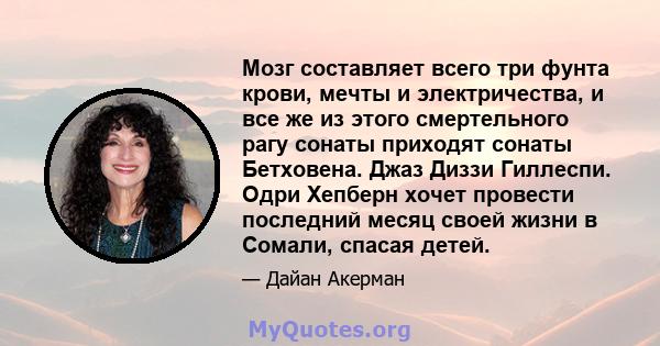 Мозг составляет всего три фунта крови, мечты и электричества, и все же из этого смертельного рагу сонаты приходят сонаты Бетховена. Джаз Диззи Гиллеспи. Одри Хепберн хочет провести последний месяц своей жизни в Сомали,