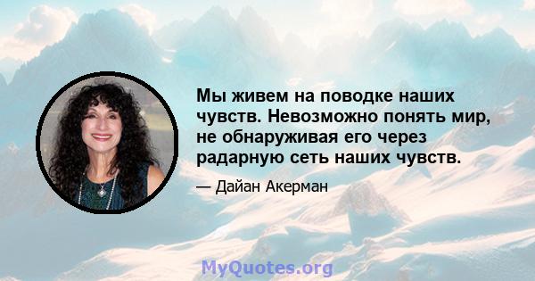 Мы живем на поводке наших чувств. Невозможно понять мир, не обнаруживая его через радарную сеть наших чувств.