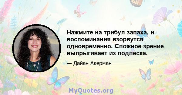 Нажмите на трибул запаха, и воспоминания взорвутся одновременно. Сложное зрение выпрыгивает из подлеска.