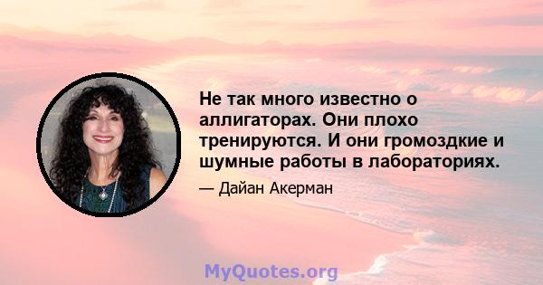 Не так много известно о аллигаторах. Они плохо тренируются. И они громоздкие и шумные работы в лабораториях.