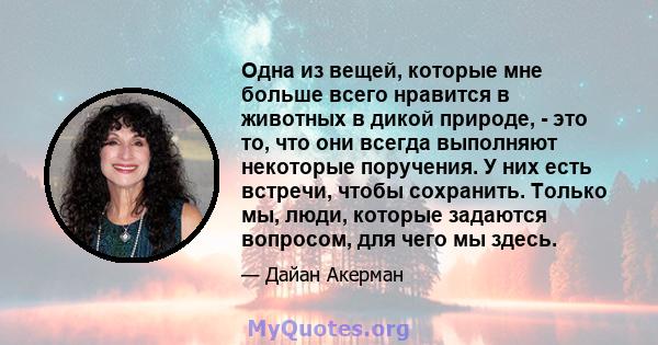 Одна из вещей, которые мне больше всего нравится в животных в дикой природе, - это то, что они всегда выполняют некоторые поручения. У них есть встречи, чтобы сохранить. Только мы, люди, которые задаются вопросом, для