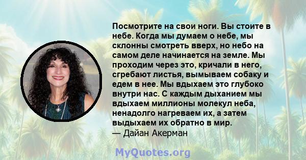 Посмотрите на свои ноги. Вы стоите в небе. Когда мы думаем о небе, мы склонны смотреть вверх, но небо на самом деле начинается на земле. Мы проходим через это, кричали в него, сгребают листья, вымываем собаку и едем в