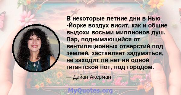 В некоторые летние дни в Нью -Йорке воздух висит, как и общие выдохи восьми миллионов душ. Пар, поднимающийся от вентиляционных отверстий под землей, заставляет задуматься, не заходит ли нет ни одной гигантской пот, под 