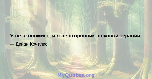 Я не экономист, и я не сторонник шоковой терапии.