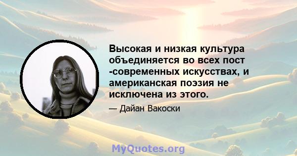 Высокая и низкая культура объединяется во всех пост -современных искусствах, и американская поэзия не исключена из этого.