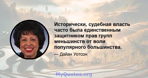 Исторически, судебная власть часто была единственным защитником прав групп меньшинств от воли популярного большинства.