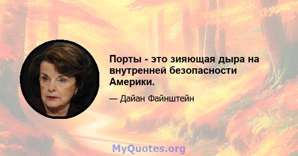 Порты - это зияющая дыра на внутренней безопасности Америки.