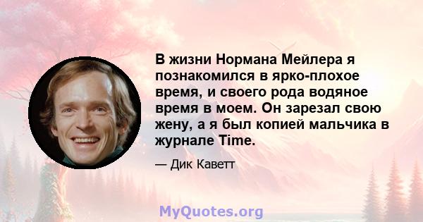 В жизни Нормана Мейлера я познакомился в ярко-плохое время, и своего рода водяное время в моем. Он зарезал свою жену, а я был копией мальчика в журнале Time.
