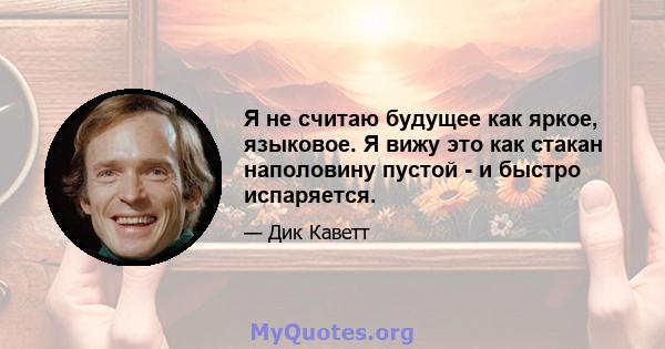 Я не считаю будущее как яркое, языковое. Я вижу это как стакан наполовину пустой - и быстро испаряется.