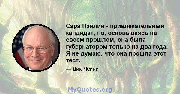 Сара Пэйлин - привлекательный кандидат, но, основываясь на своем прошлом, она была губернатором только на два года. Я не думаю, что она прошла этот тест.