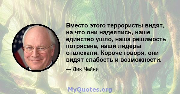 Вместо этого террористы видят, на что они надеялись, наше единство ушло, наша решимость потрясена, наши лидеры отвлекали. Короче говоря, они видят слабость и возможности.