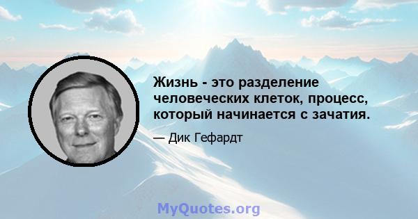 Жизнь - это разделение человеческих клеток, процесс, который начинается с зачатия.