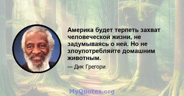 Америка будет терпеть захват человеческой жизни, не задумываясь о ней. Но не злоупотребляйте домашним животным.