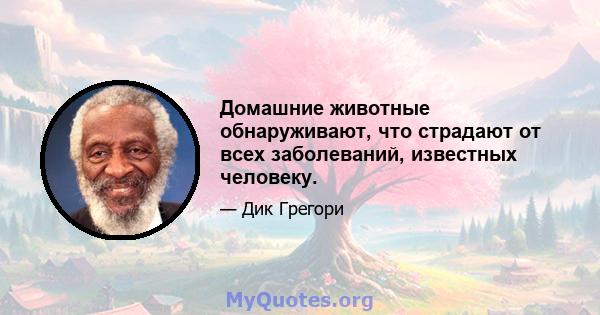 Домашние животные обнаруживают, что страдают от всех заболеваний, известных человеку.