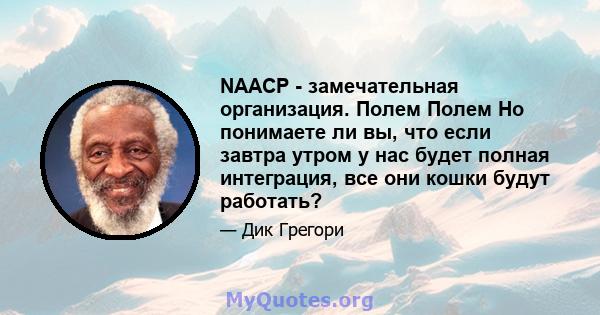 NAACP - замечательная организация. Полем Полем Но понимаете ли вы, что если завтра утром у нас будет полная интеграция, все они кошки будут работать?